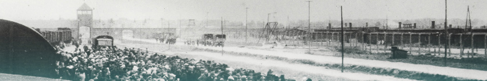 Arrival of a convoy of Hungarian Jews in Auschwitz-Birkenau in 1944.  Mémorial de la Shoah / CDJC
